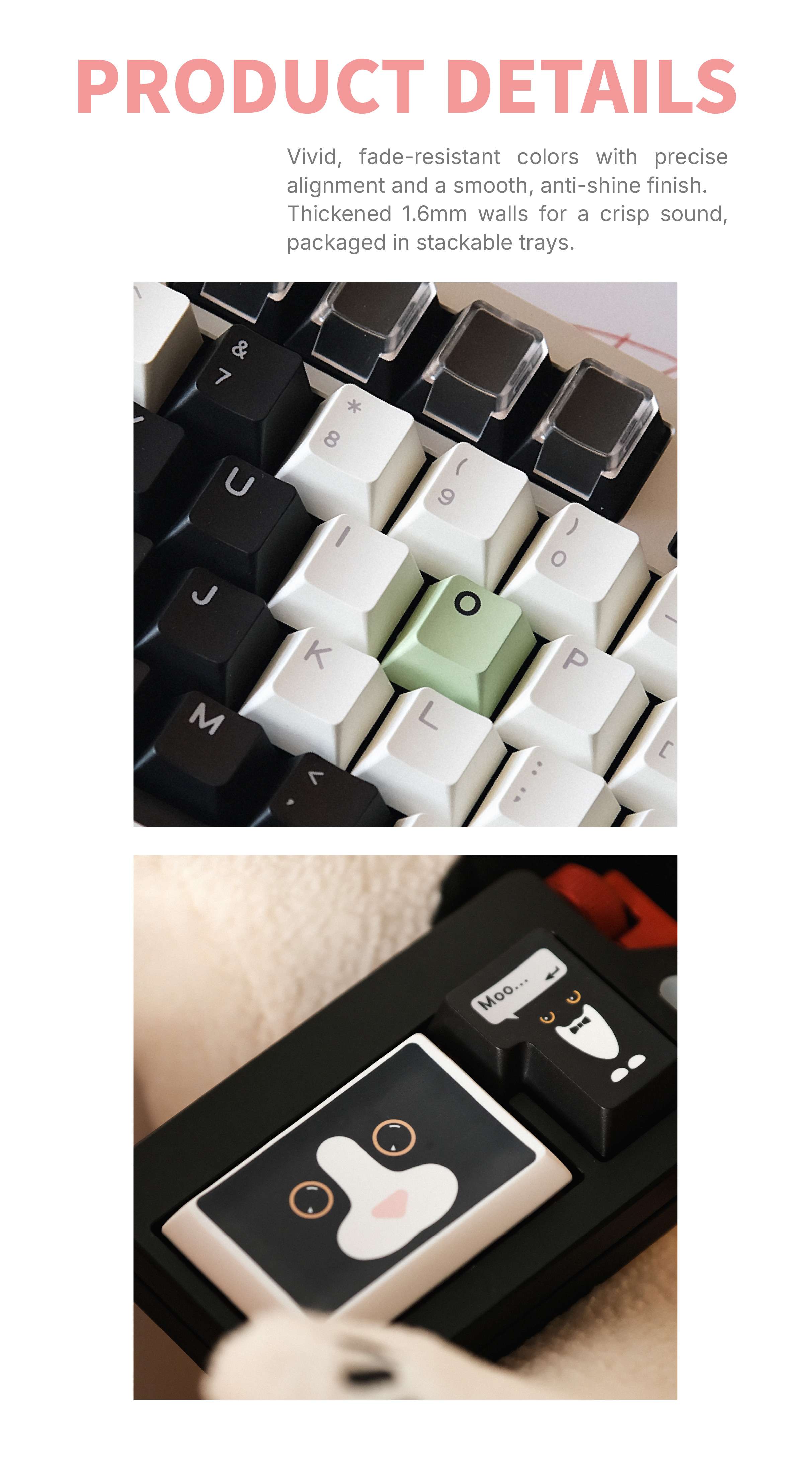 官网详情奶牛猫【英文970PX】 04 2